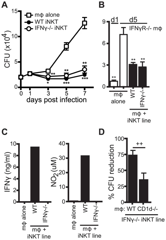 iNKT cell mediated control is independent of IFNγ.