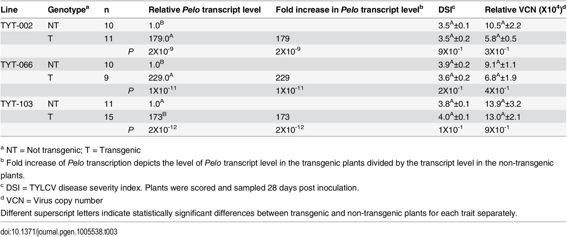 Effect of over-expressing the <i>Pelo</i> allele derived from TY172 plants in transgenic R13 plants.