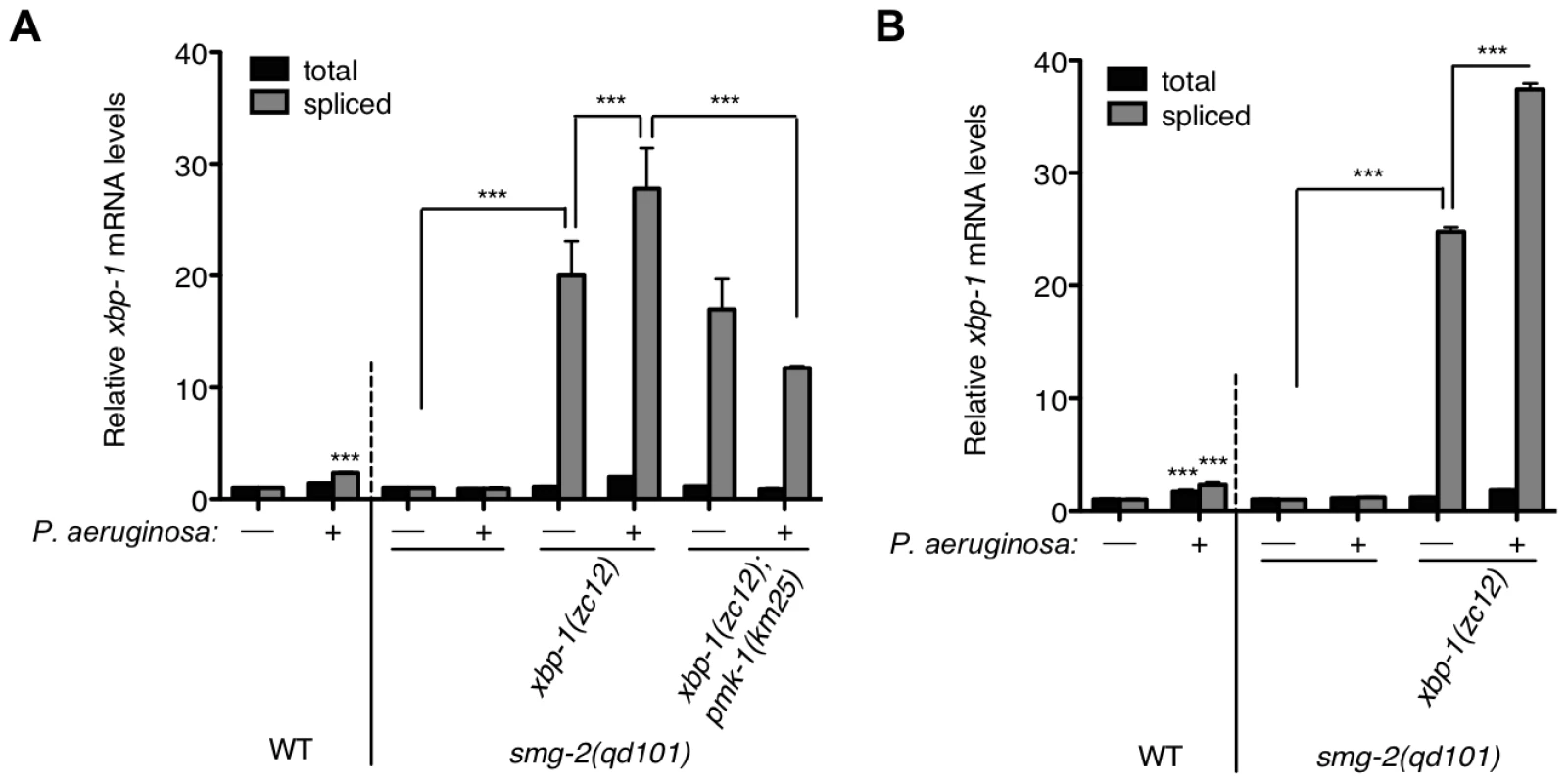 Pathogen-induced immune activation exacerbates ER stress levels in XBP-1 deficiency in <i>C. elegans</i>.