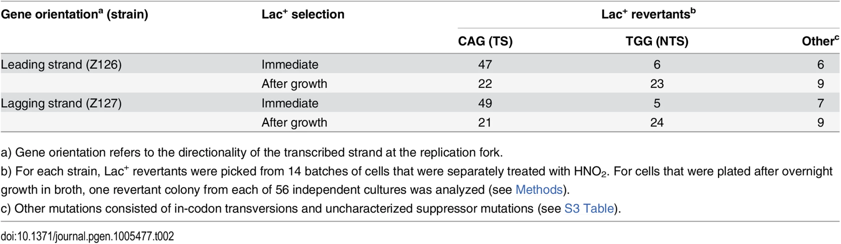 Spectrum of mutations in a <i>lacZ</i> amber codon after HNO<sub>2</sub> mutagenesis.
