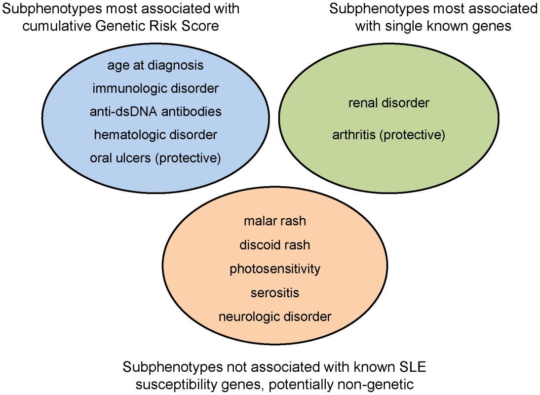 Categorization of SLE subphenotypes by strongest association with currently known susceptibility loci: genetic risk score, single locus, or none.