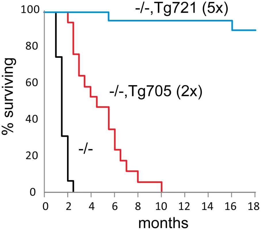 Rescue of juvenile lethality by expression of the Fig4-I41T transgene.