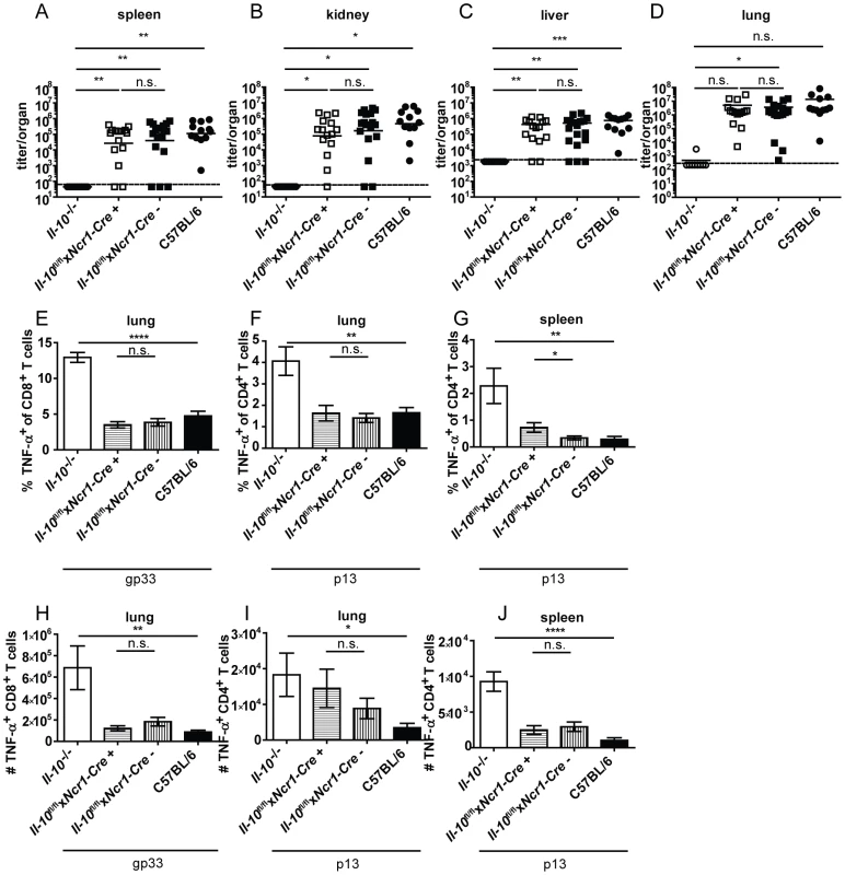 NK cell derived IL-10 does not promote viral chronicity and T cell exhaustion.