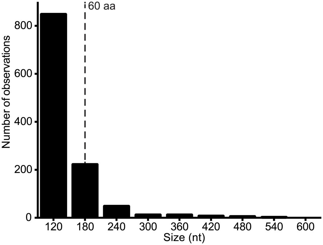 Number of alternative ORFs of various size ranges (nt) across the genome data set.