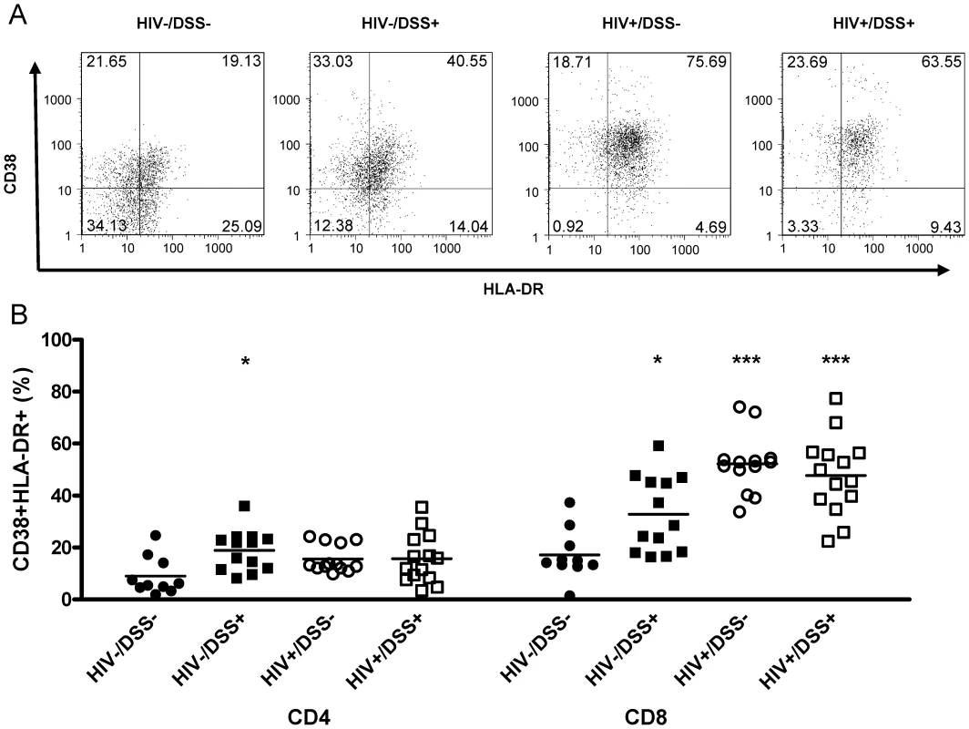 HIV-infected humanized mice had high levels of CD8+ T-cell activation.