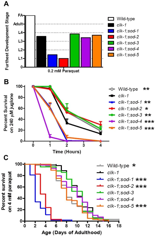 Deletion of individual <i>sod</i> genes results in a compartment specific effect on sensitivity to oxidative stress in <i>clk-1</i> worms.
