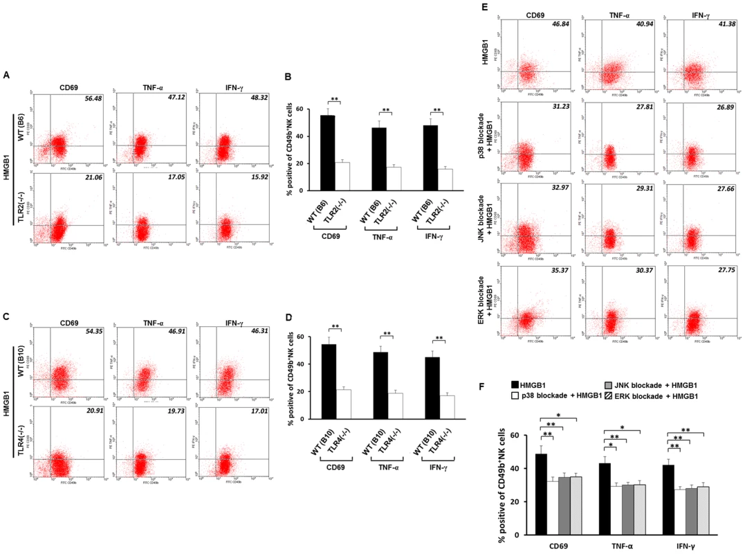 Roles of TLR2, TLR4 and MAPK families in HMGB1-induced activation of NK cells.