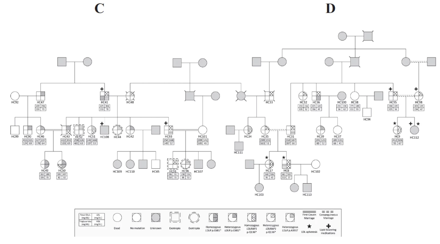 Co-occurrence of &lt;i&gt;LDLR&lt;/i&gt; and &lt;i&gt;LDLRAP1&lt;/i&gt; mutations in familial cases. Pedigrees of two families C and D distantly related with the different genotypes in &lt;i&gt;LDLR&lt;/i&gt; (p.C681*, p.A391T) and &lt;i&gt;LDLRAP1&lt;/i&gt; (p.Q136*) and their corresponding phenotypes.