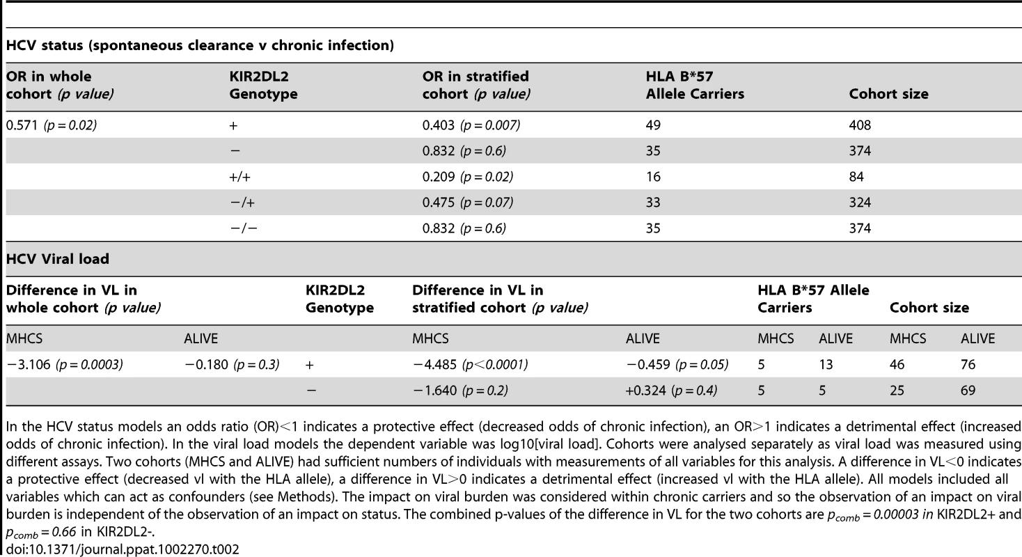 <i>KIR2DL2</i> in HCV infection: <i>KIR2DL2</i> enhances the protective effect of <i>HLA-B*57</i> on HCV status (spontaneous clearance v chronic infection) and, independently, on HCV viral load.