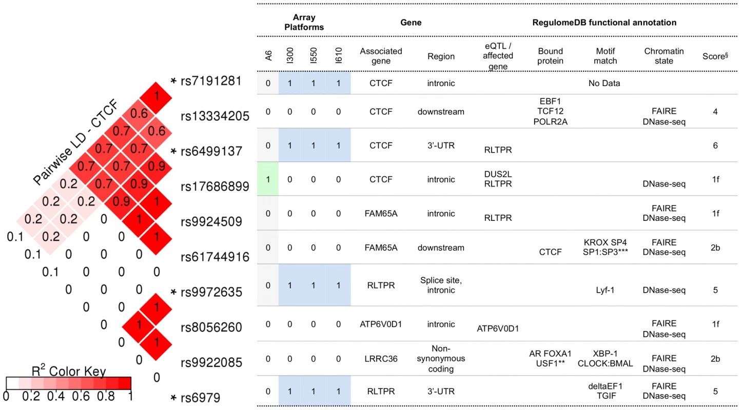 RegulomeDB functional annotation for SNPs in CTCF and its regulatory regions.