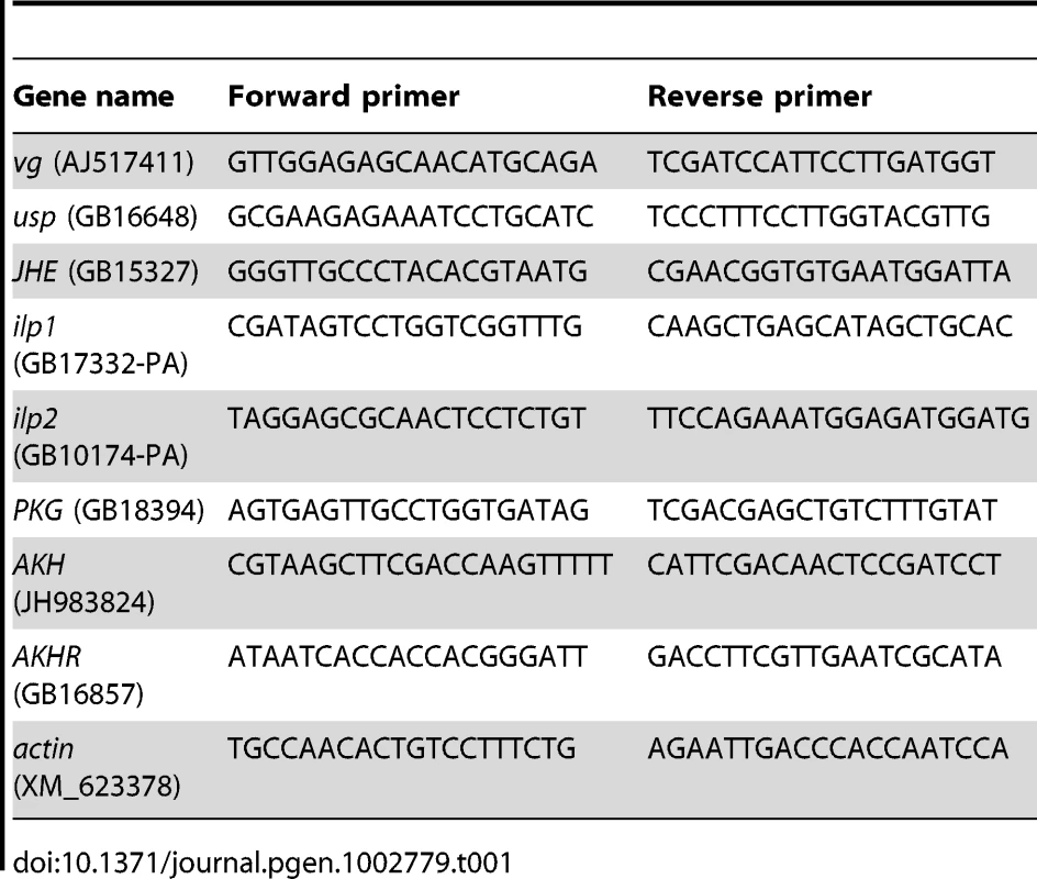 Gene primers for real-time PCR.