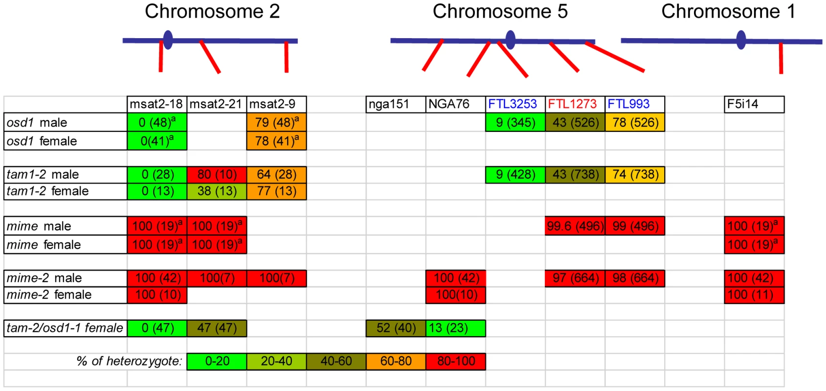 Genetic make-up of the <i>osd1, tam, tam/osd1</i>, <i>MiMe,</i> and <i>MiMe-2</i> male and female diploid gametes.
