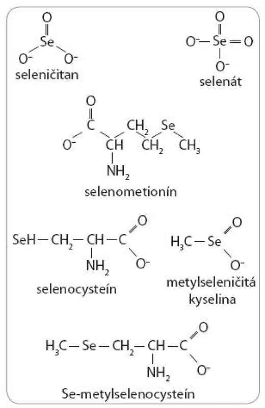 Selenové zlúčeniny používané pre dietetické, experimentálne a klinické štúdie.