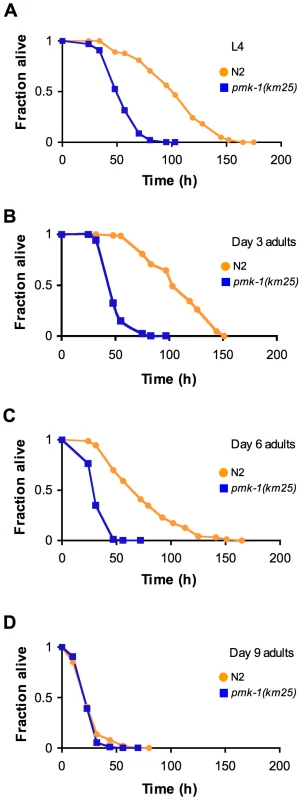 Age-dependent decrease in the contribution of PMK-1 p38 MAPK signaling to <i>C. elegans</i> immunity.