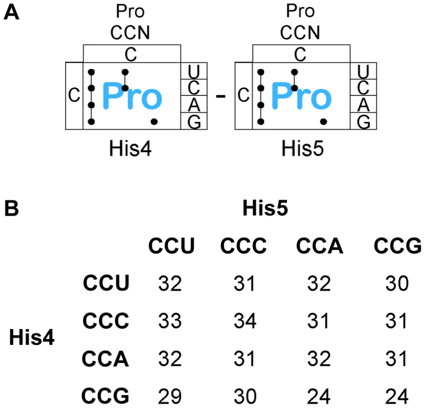 Expression of the <i>his</i> operon for specific proline codons at His4-His5 of the His leader on ribosome stalling.