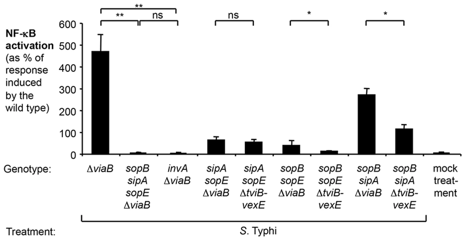 Effect of the regulator TviA on NF-κB activation triggered by <i>S.</i> Typhi T3SS-1 effectors.