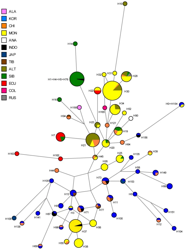 Median-joining network of 167 different Asian and American Y-STR haplotypes carrying Y-SNP haplogroup C3* (from this and previously published studies).