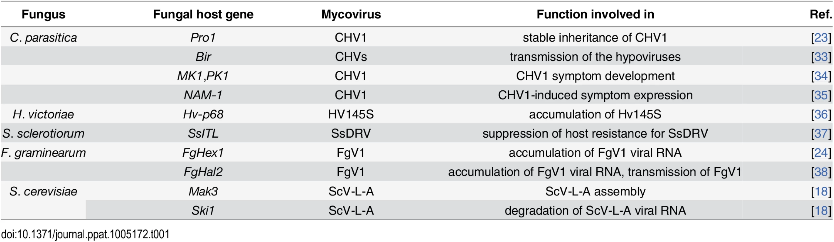 Host genes involved in interactions between mycoviruses and host fungi.