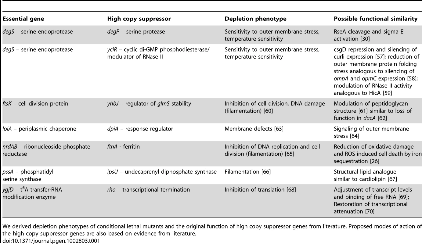 Possible functional similarities between non-complementing high copy suppressors and essential genes.
