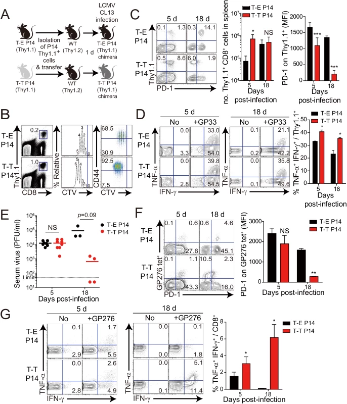 Control of chronic LCMV infection by innate CD8<sup>+</sup> T cells.