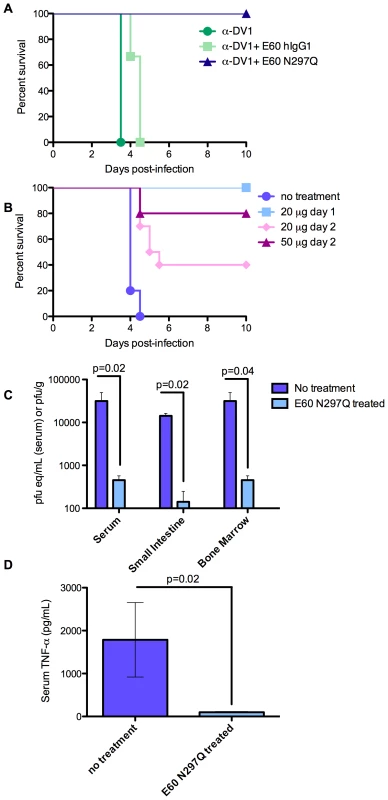 Antibodies with a mutated FcγR binding site have both prophylactic and therapeutic potential and reduce viral load and serum TNF-α in DV-infected mice.
