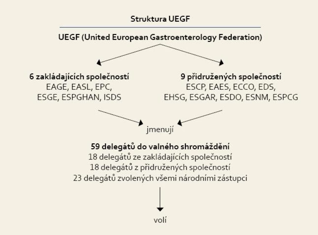 Rada UEGF.
Fig. 2. UEGF Council.