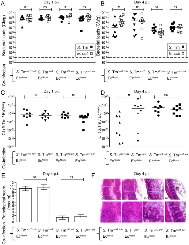 Colicin-dependent competition of <i>S.</i> Tm and <i>E. coli</i> in the gut in inflammation-induced “blooms” in conventional mice.