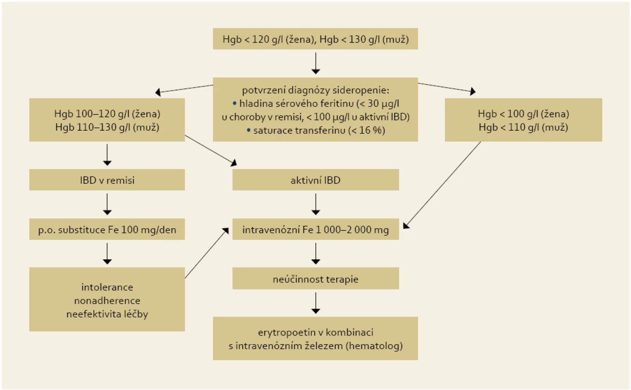 Doporučení pro substituční léčbu sideropenní anémie u IBD pacentů.
Fig. 2. Recommendation for iron supplementation in IBD patients with iron deficiency anaemia.