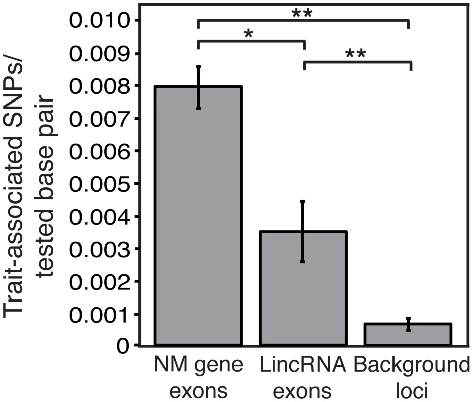 LincRNAs are enriched for trait-associated SNPs.
