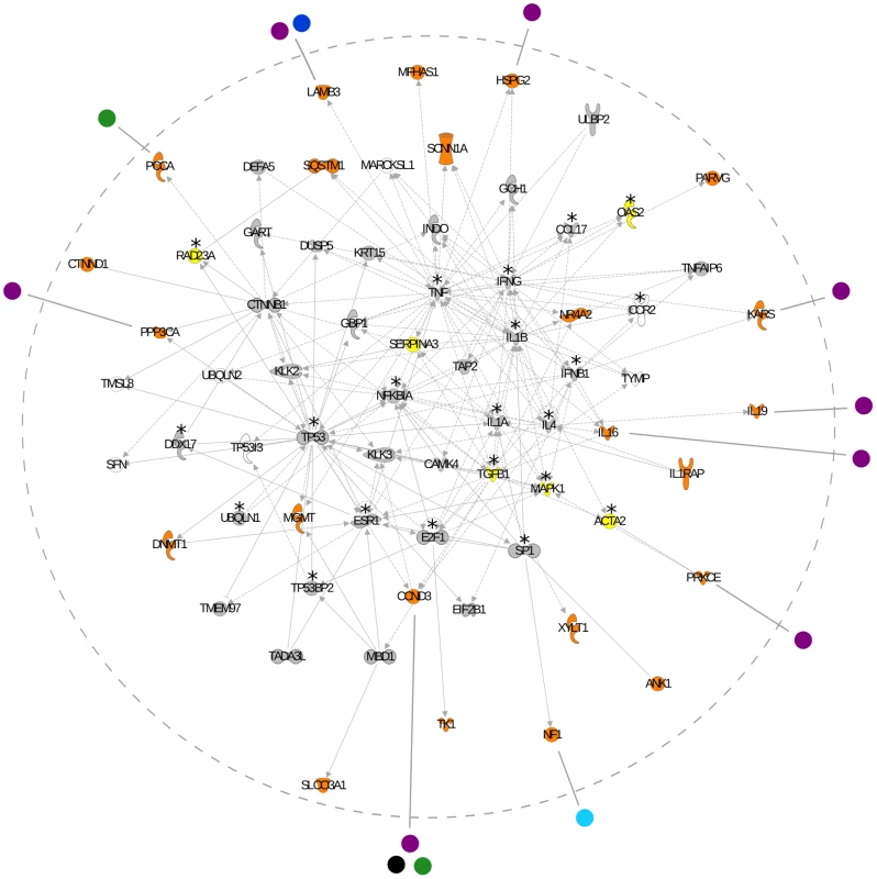 Network analysis of genes associated with virus diversity.