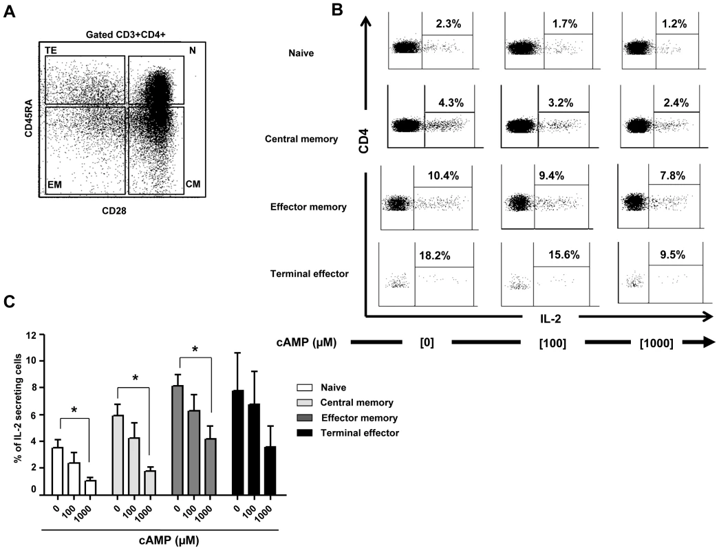 cAMP induced inhibition of IL-2 production by CD4+ T cell subsets.