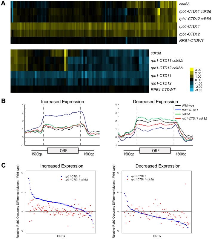 Loss of &lt;i&gt;CDK8&lt;/i&gt; normalized &lt;i&gt;rbp1-CTD11&lt;/i&gt; transcriptional defects by altering RNAPII recruitment.