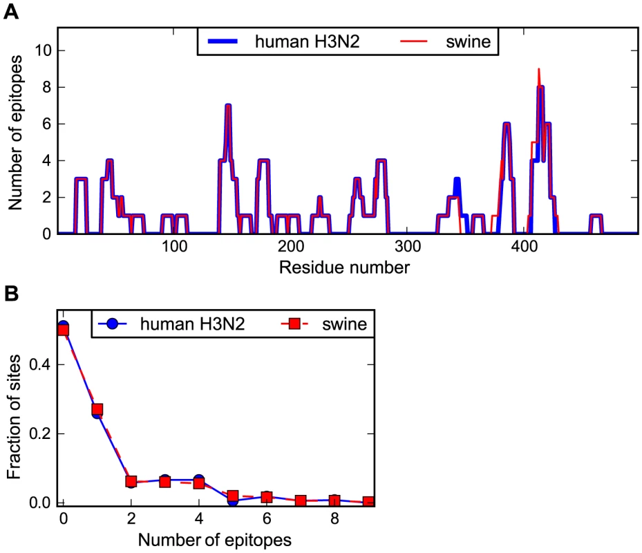 Human and swine NP possess similar numbers of human CTL epitopes.