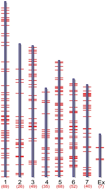 Genome-wide distribution of putative MoCRZ1 targets.