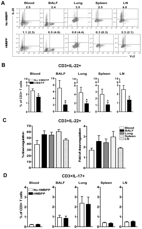 Phosphoantigen HMBPP activation of Vγ2Vδ2 T cells down-regulated the capability of T cells to actively produce IL-22 but not IL-17 <i>de novo</i> in lymphocytes from blood, lungs/BAL fluid, spleens and lymph nodes.