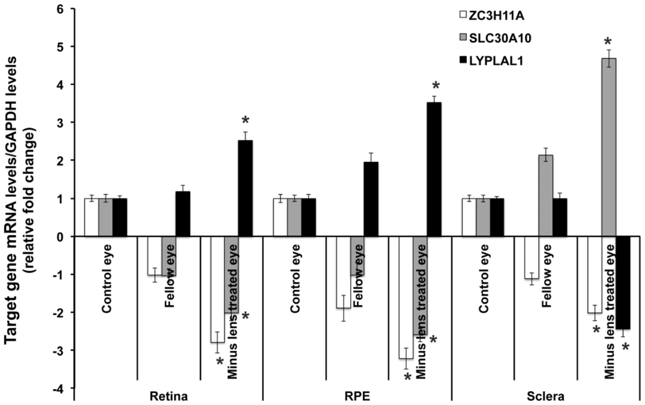 Transcription quantification of <i>ZC3H11A</i>, <i>SLC30A10</i>, and <i>LYPLAL1</i> in mouse retina, retinal pigment epithelium, and sclera in induced myopic eyes, fellow eyes, and independent control eyes.