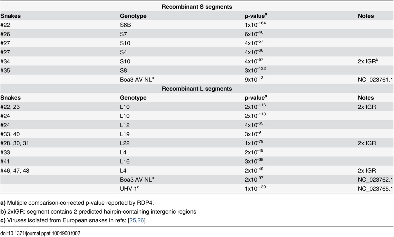 Summary of recombinant genome segments identified.