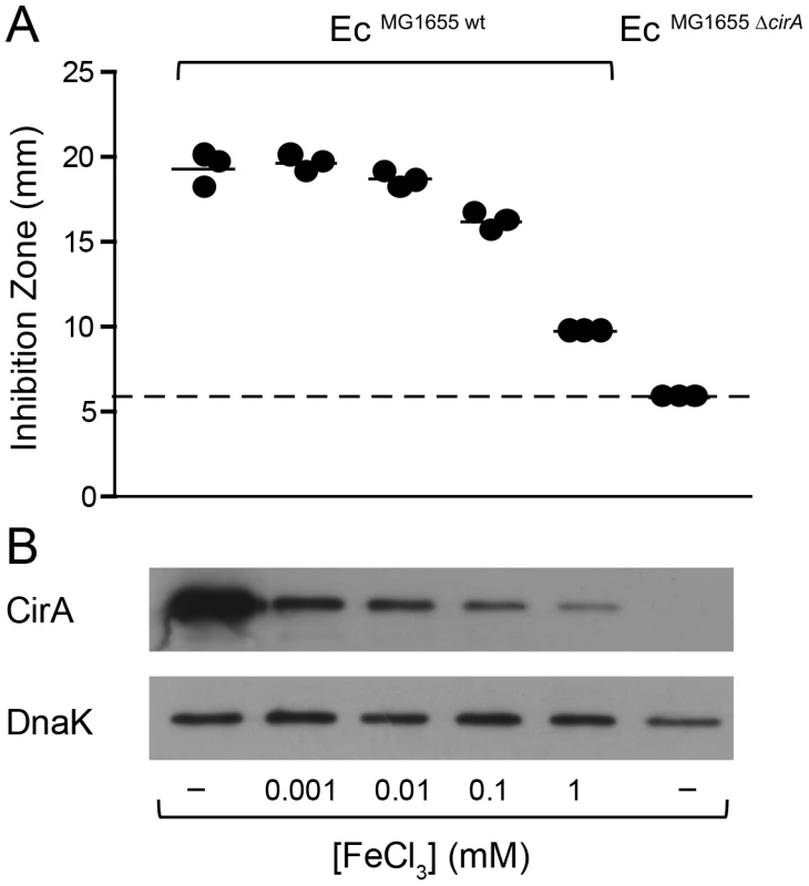 Induction of <i>cirA</i> expression increases sensitivity to ColIb of <i>E. coli</i>.