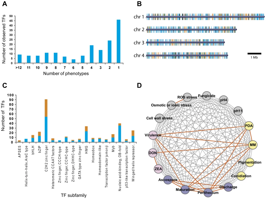 Analysis of transcription factor (TF) mutant phenotypes.