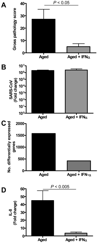 Anti-inflammatory type I IFN inhibits virus-induced ALI in aged SARS-CoV-infected macaques.