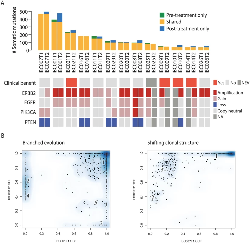Genomic analysis of tumour biopsies before treatment and following disease progression on afatinib monotherapy.