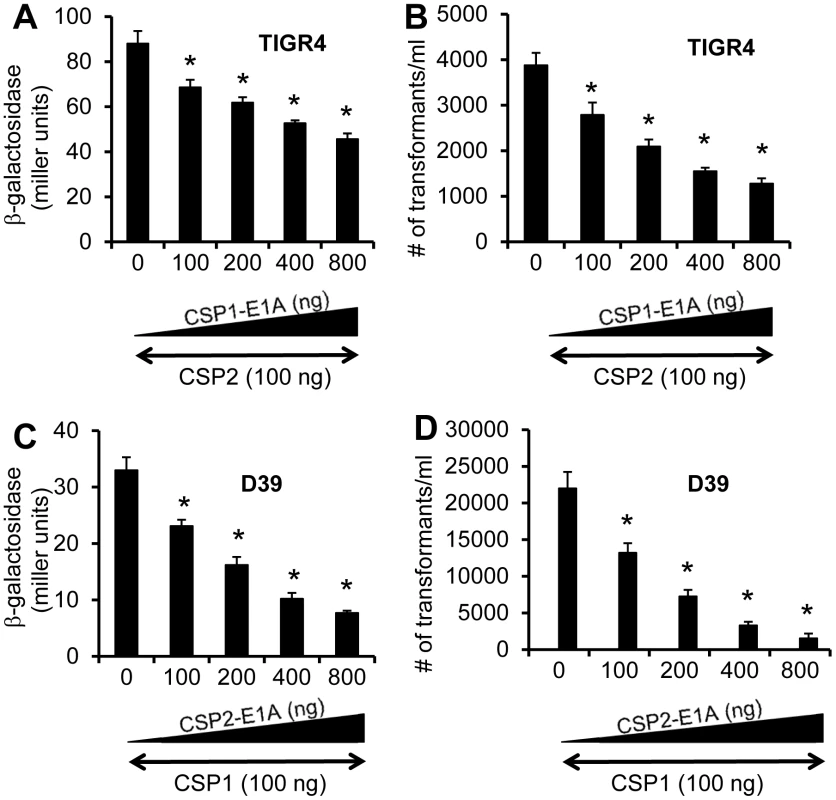 Cross inhibition of competence by CSP1-E1A and CSP2-E1A in <i>S. pneumoniae</i> strains with incompatible ComD subtypes.
