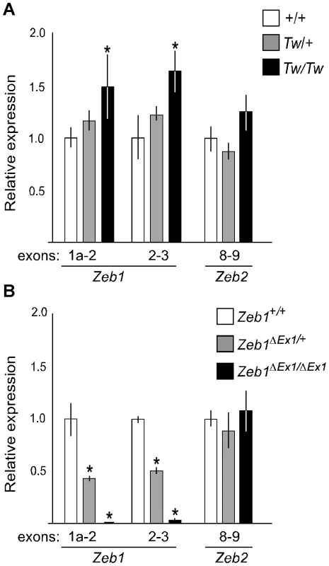 Comparative RT-PCR analysis of <i>Tw</i> and <i>Zeb1<sup>ΔEx1</sup></i> RNA from E13.5 ears.