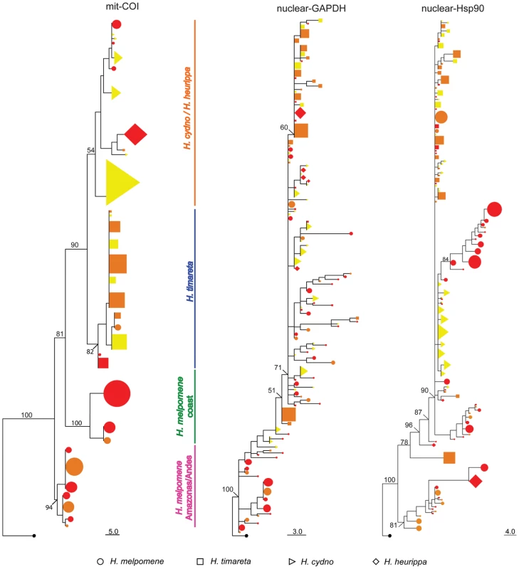 Phylogenetic clustering of unlinked markers.