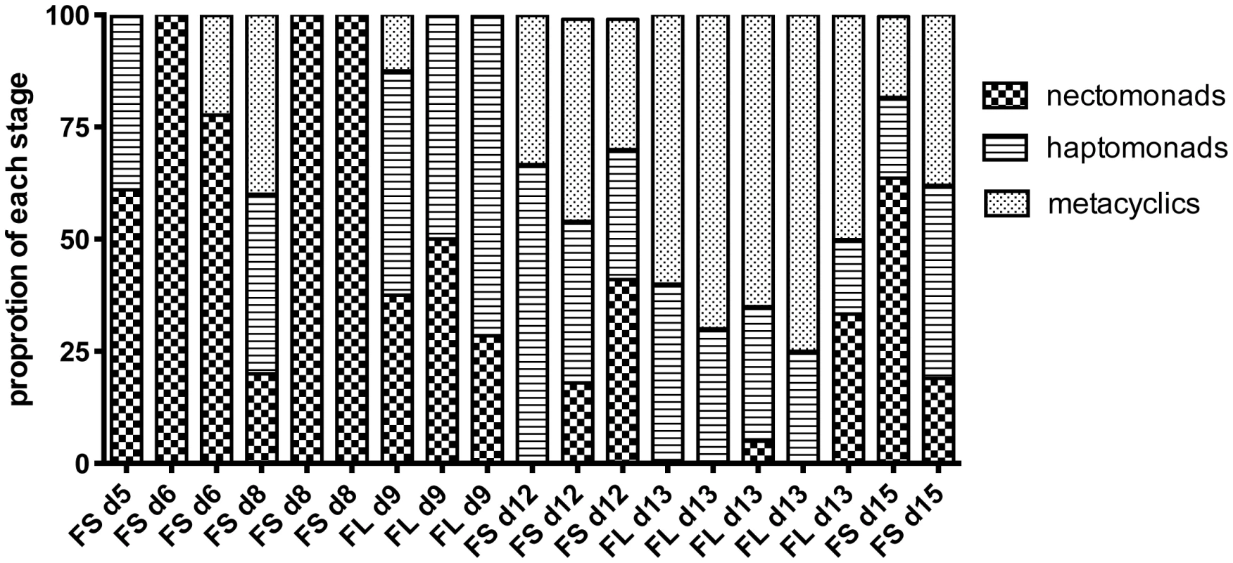 Proportion of promastigote developmental stages at the time of hybrid recovery in <i>P. duboscqi</i>.