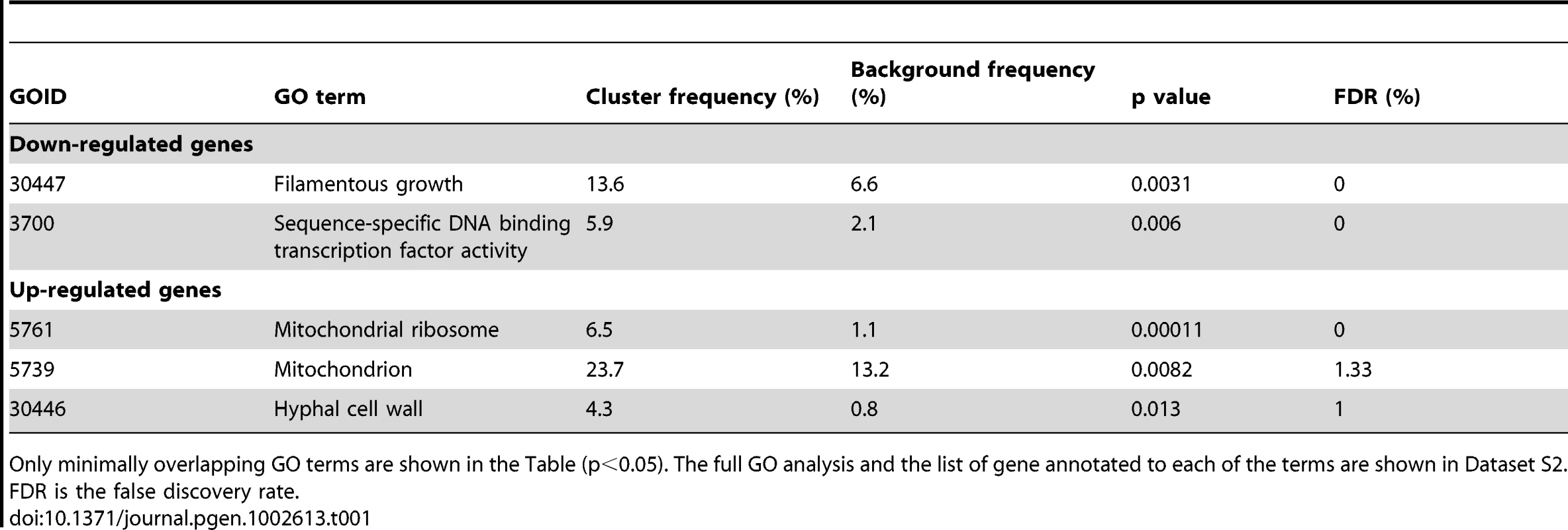 GO term analysis of genes differentially expressed in the <i>C. albicans med31ΔΔ</i> mutant.