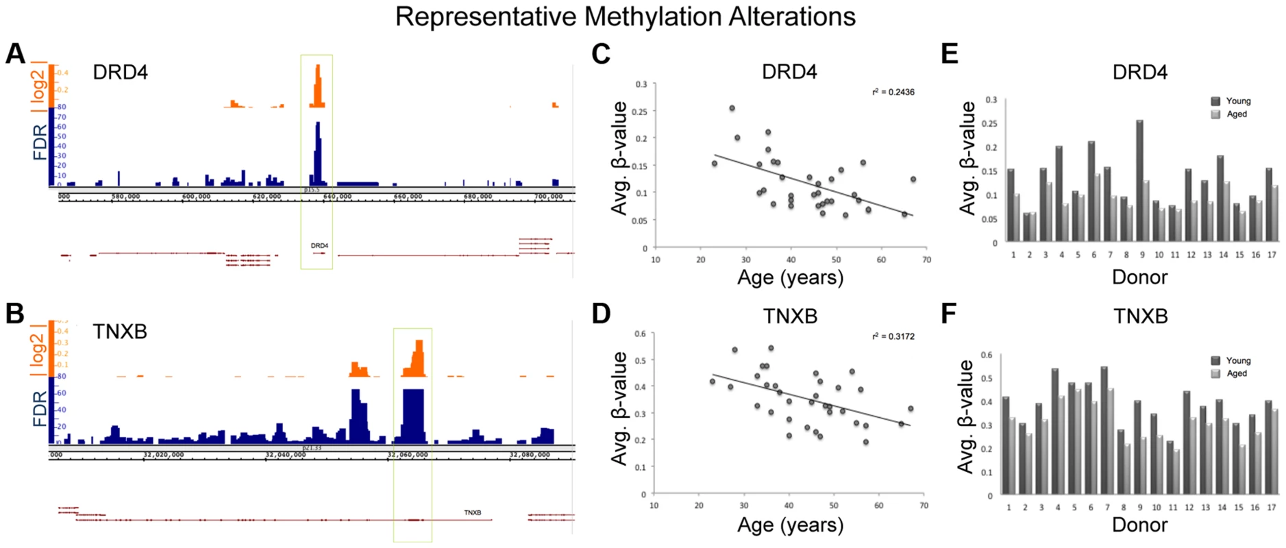 Various descriptive statistics are presented for both TNXB and DRD4; 2 regions of representative methylation alterations.