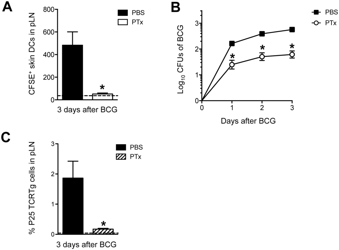 PTx mutes P25 TCRTg-cell priming by inhibiting skin DC migration and BCG transport to DLN.