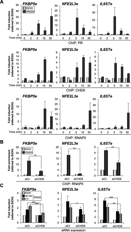 CHD8 is required for RNAPII recruitment and eRNA synthesis at PR enhancers.