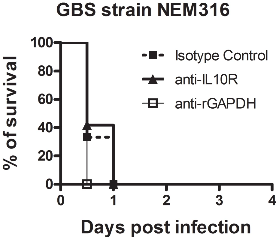 Neutrophils are essential for neonatal protection against GBS infection.